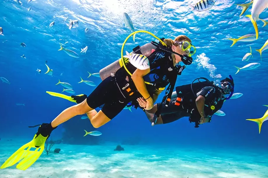 crystal clear ocean diving