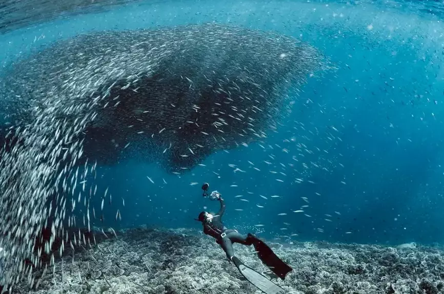 Discover Coron: The Undisputed Diving Capital of the Philippines