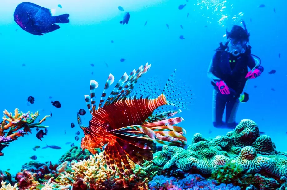 best scuba diving Caribbean