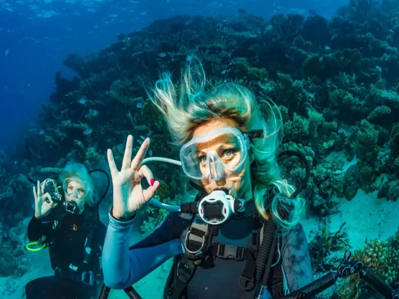 top scuba diving islands