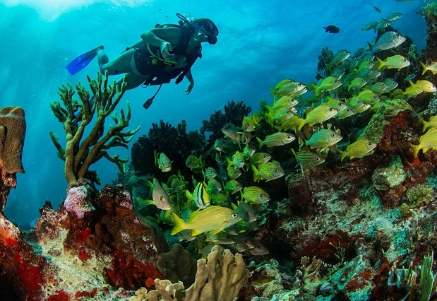 Cancun diving spots