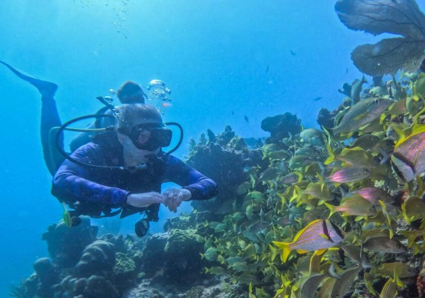 Cabo San Lucas diving