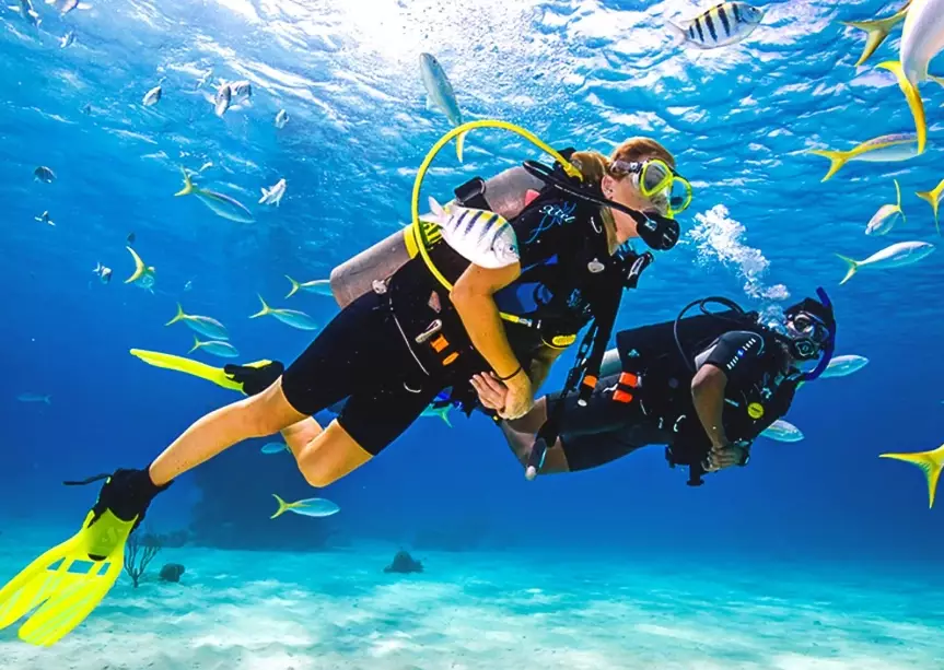 avoid diving injuries