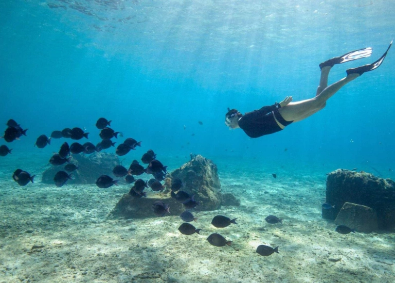 Cenote diving Mexico