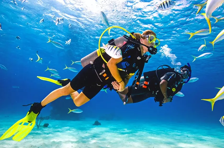 Best Months for Scuba Diving: A Season-by-Season Guide Worldwide
