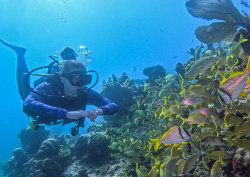 Cozumel diving