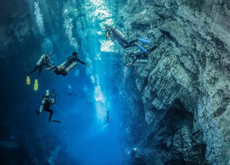 Cabo San Lucas diving
