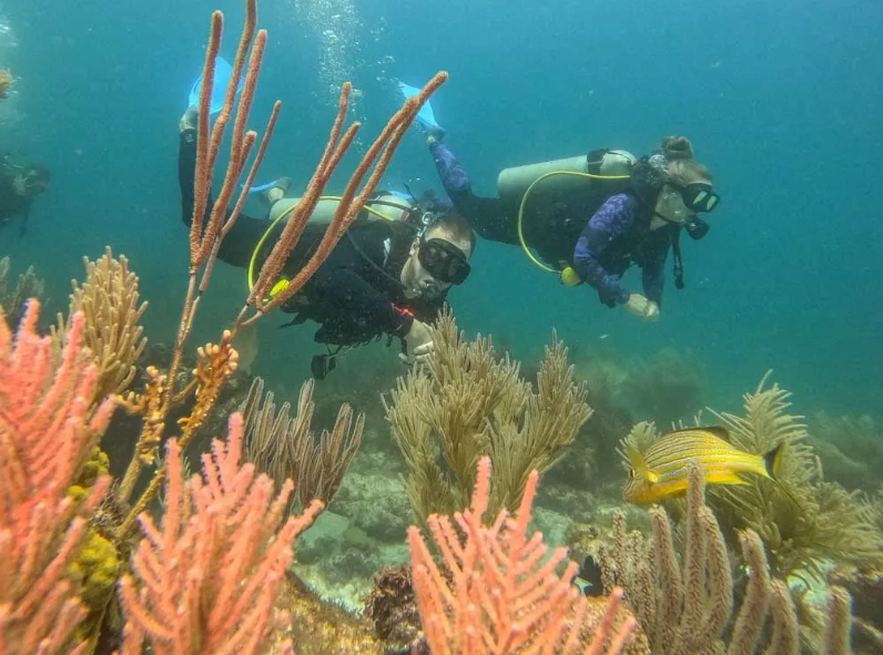 Playa del Carmen diving