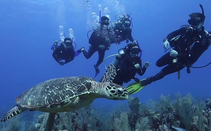 Cenote diving Mexico