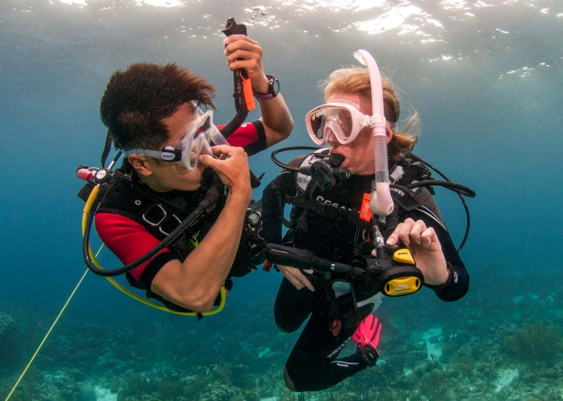 scuba diving seasons