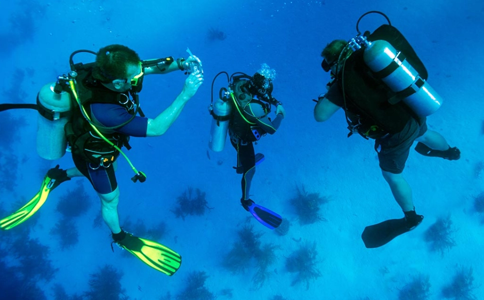 Diver Safety: A Comprehensive Guide to Staying Safe Underwater
