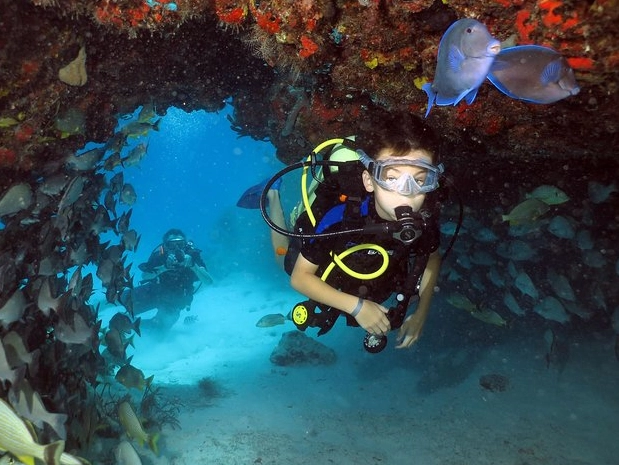 Diving Mexico Playa del Carmen