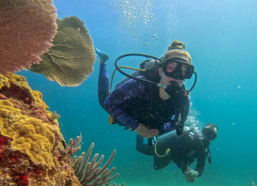 Mexico Scuba Diving for Beginners: The Complete Guide to Getting Started