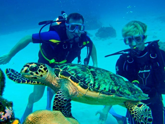 best scuba diving Cancun