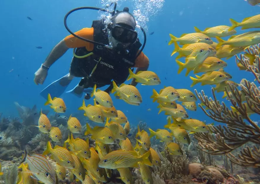 beginner scuba diving Mexico