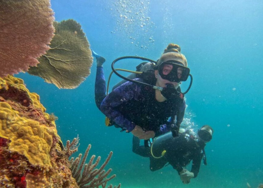 Best Scuba Diving in Mexico: Top 5 Destinations for Every Diver