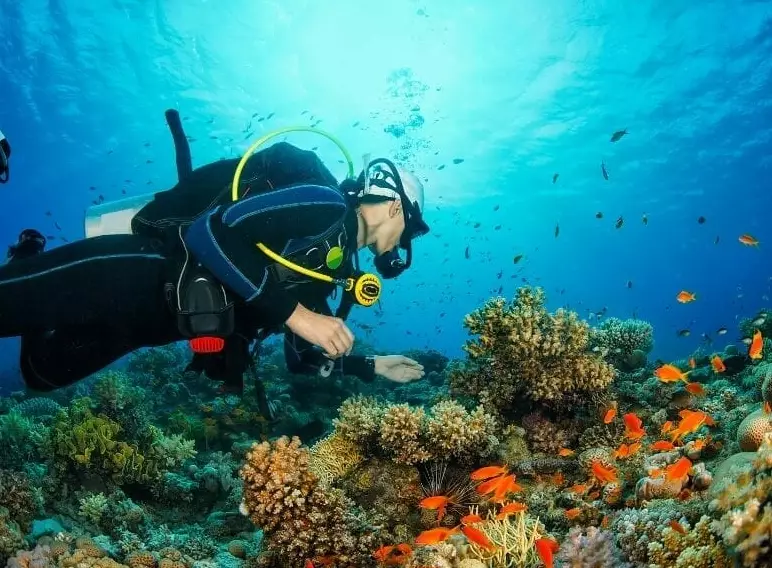 Cancun dive sites