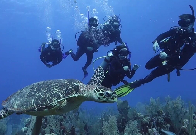 best cenote diving for beginners