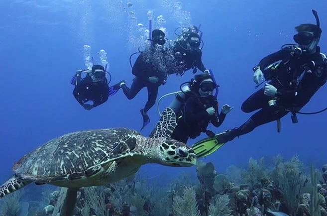 scuba diving Mexico Caribbean
