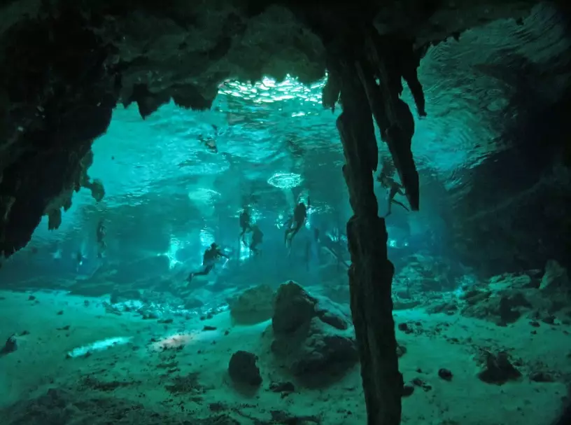 Cenote Diving in Mexico: The Ultimate Guide to Cave Systems & Safety