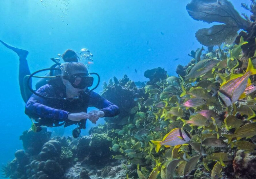 beginner scuba diving Mexico