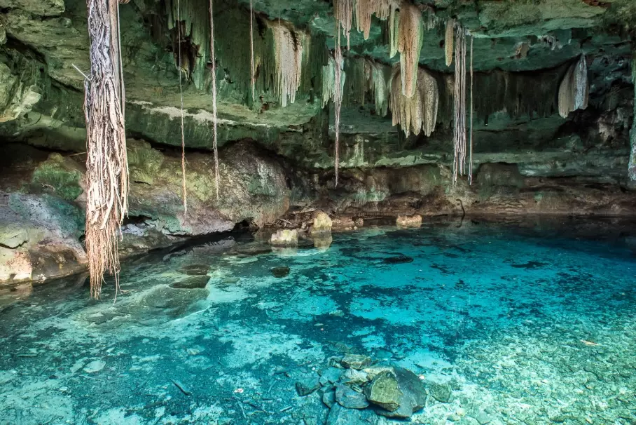 Yucatan cenotes diving