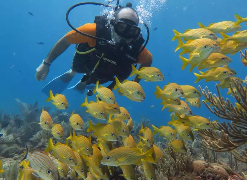 learn to dive Mexico