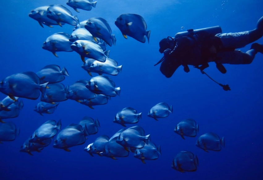 scuba diving air management