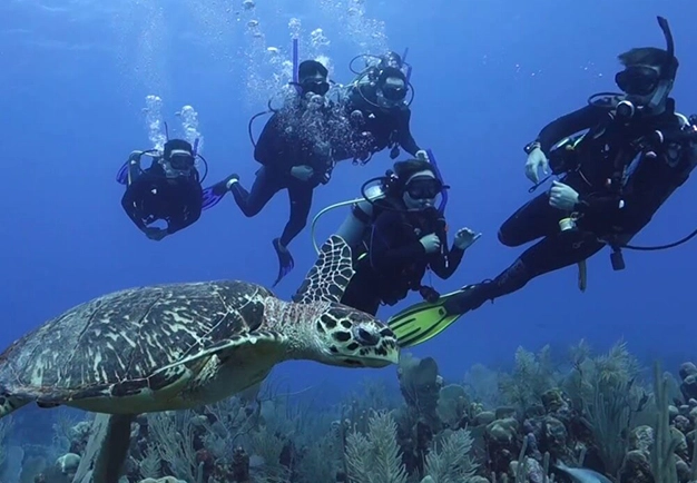 learn to dive Mexico