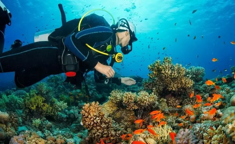 scuba diving mexico beginners