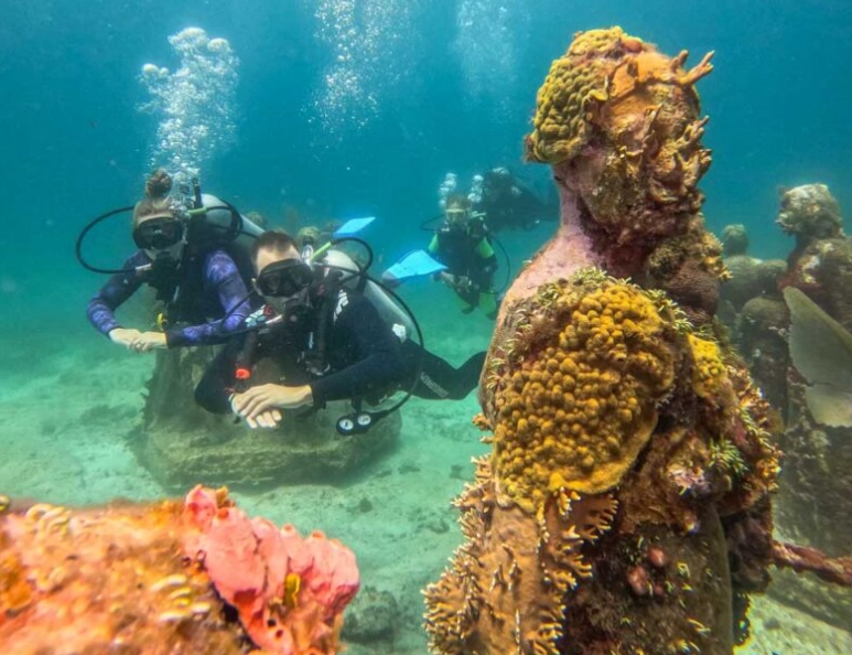 scuba diving Cozumel beginners