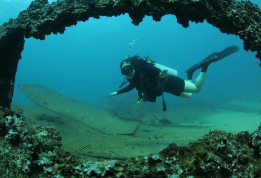 Top Beginner-Friendly Dive Sites in Mexico: Your First Dive Guide