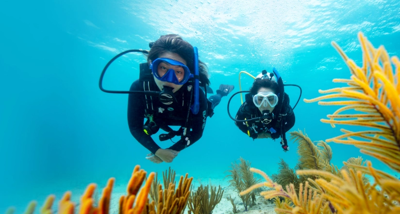 learn to scuba dive