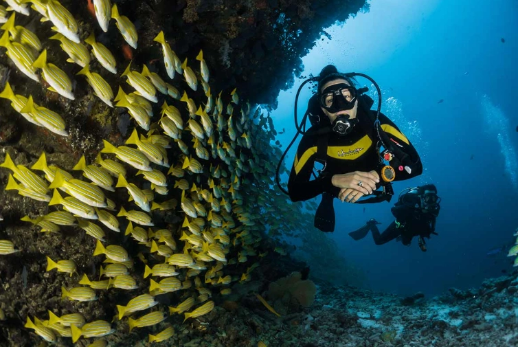 beginner scuba diving