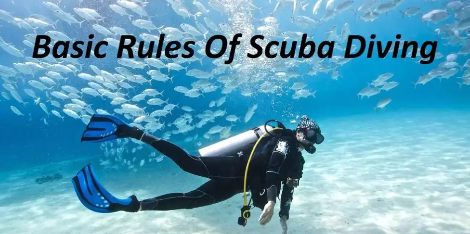 diving before flying