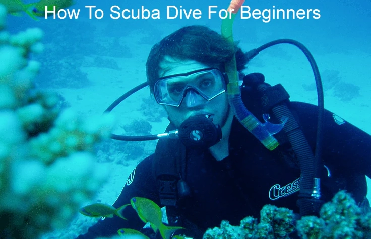 safe diving techniques