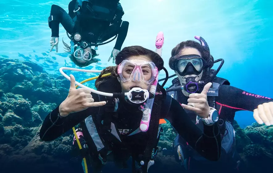 learn to scuba dive