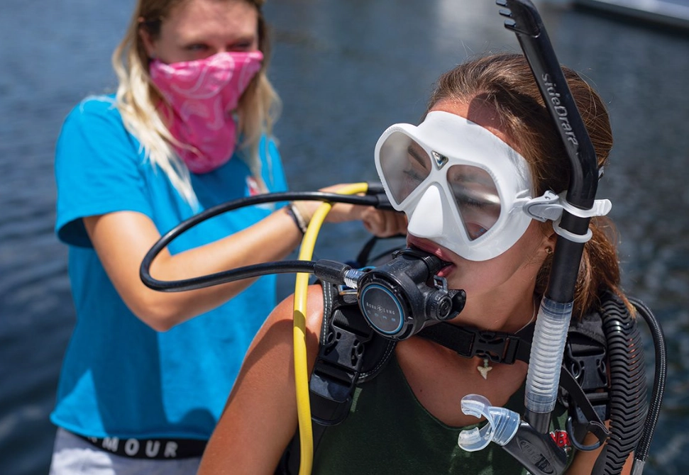 best time to dive Cozumel