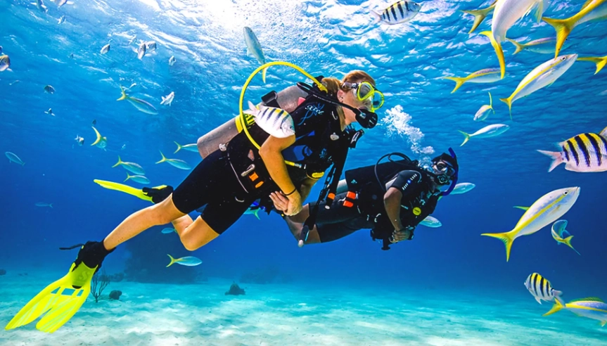 scuba diving for beginners