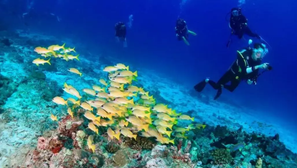 scuba diving Thailand
