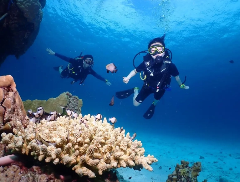 best diving in Thailand