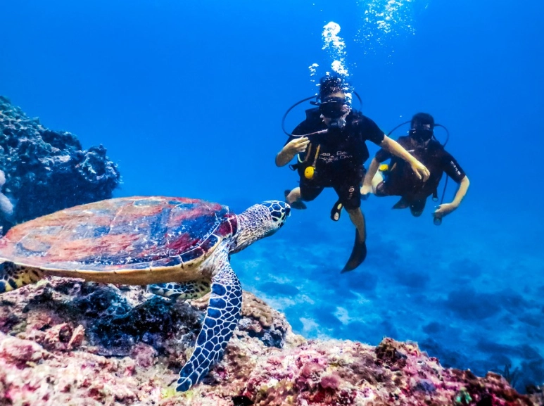 Thailand dive sites