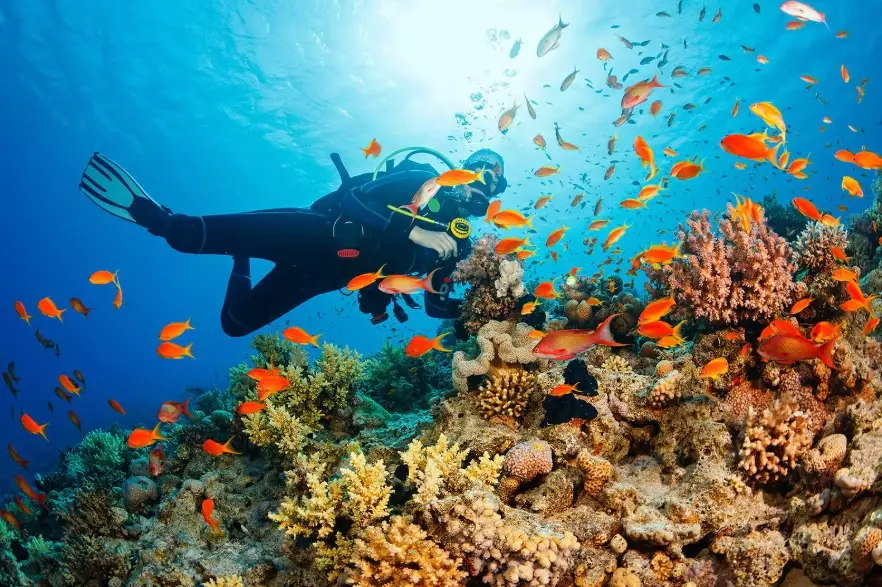 What month is best for diving in Thailand?