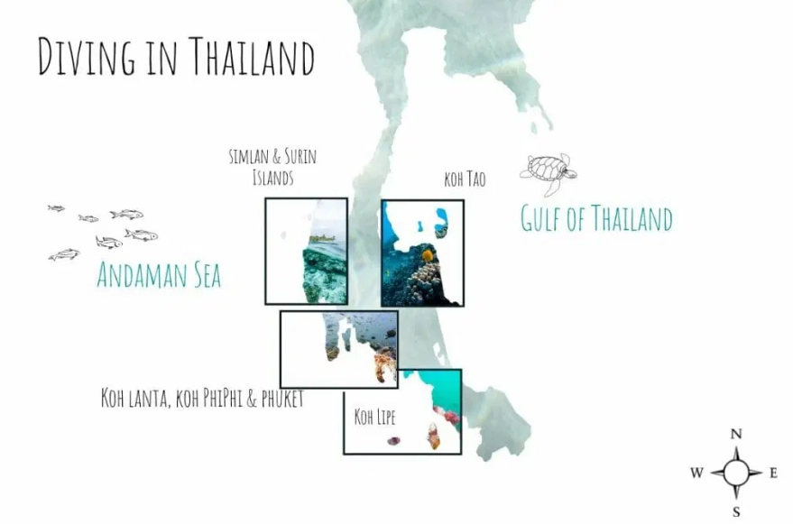 Thailand diving season