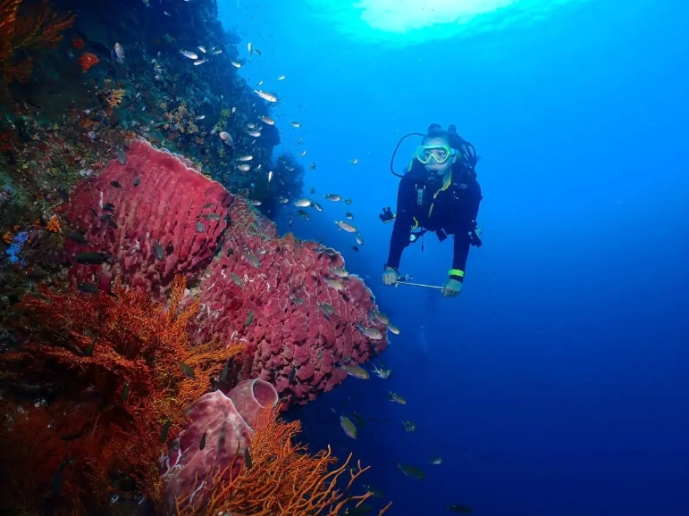 best scuba diving Thailand