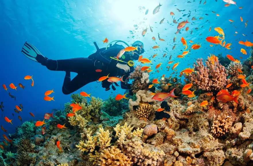 Thailand dive sites