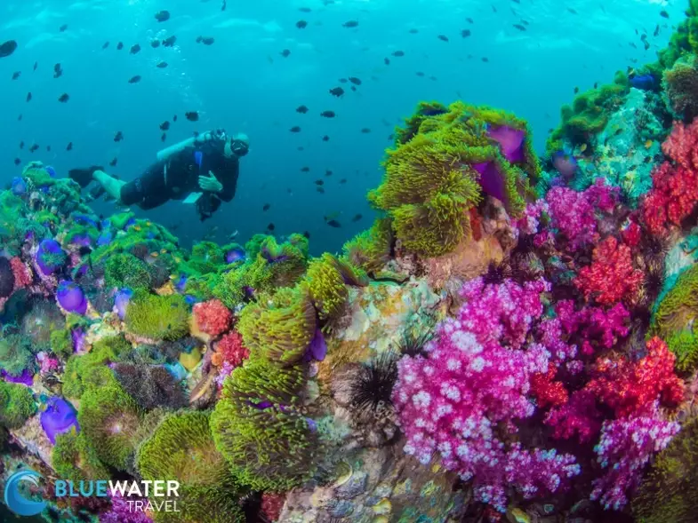 Thailand diving sites