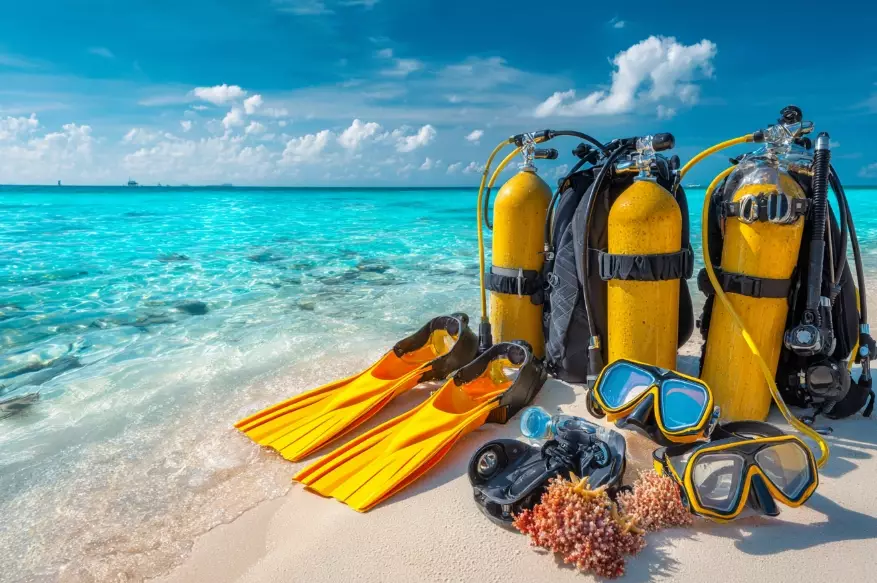 Is Diving Gear Worth It? A Real Cost-Benefit Analysis