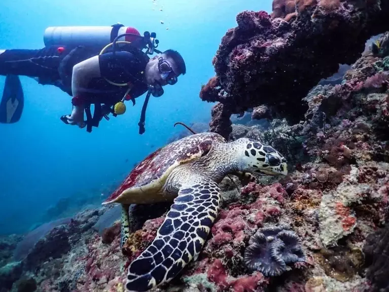 Thailand dive conditions
