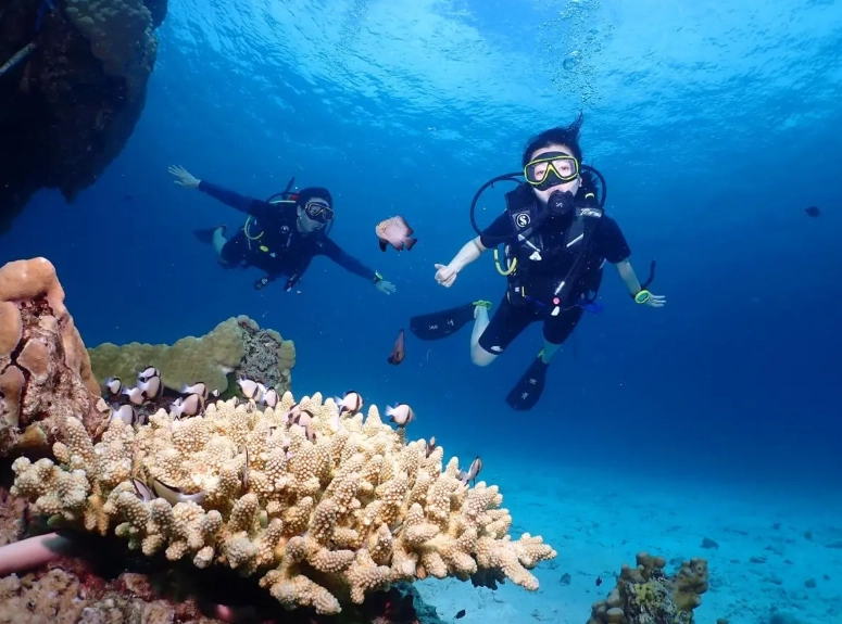 best scuba diving Thailand